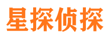 泸县市调查公司